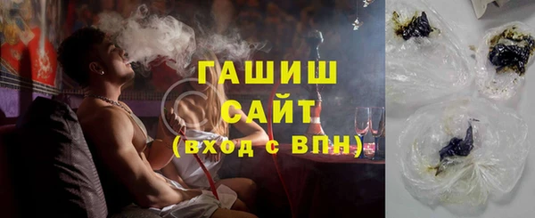 прущие грибы Гусиноозёрск