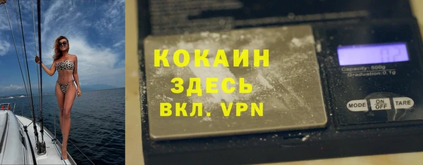 2c-b Гусев