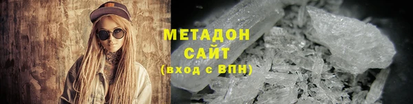прущие грибы Гусиноозёрск