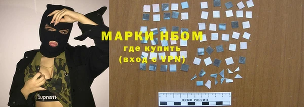прущие грибы Гусиноозёрск