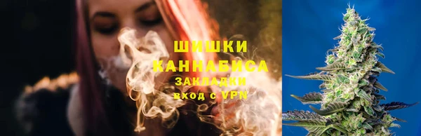 крисы Гусь-Хрустальный