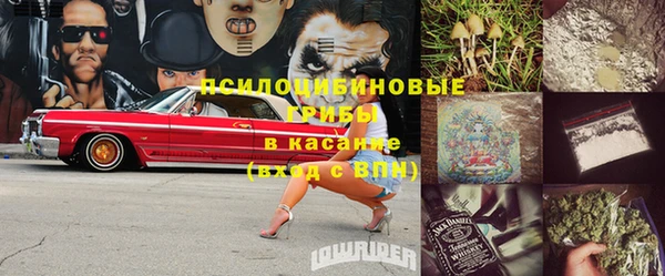дурь Лиски