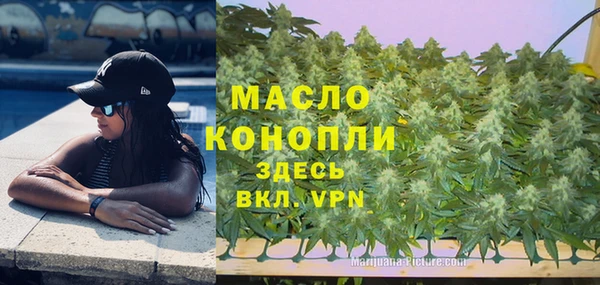 прущие грибы Гусиноозёрск