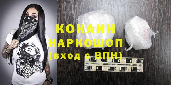 прущие грибы Гусиноозёрск