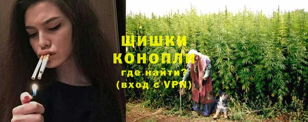 крисы Гусь-Хрустальный