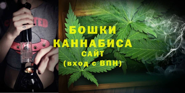 2c-b Гусев