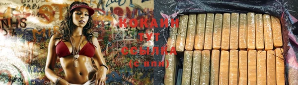 2c-b Гусев