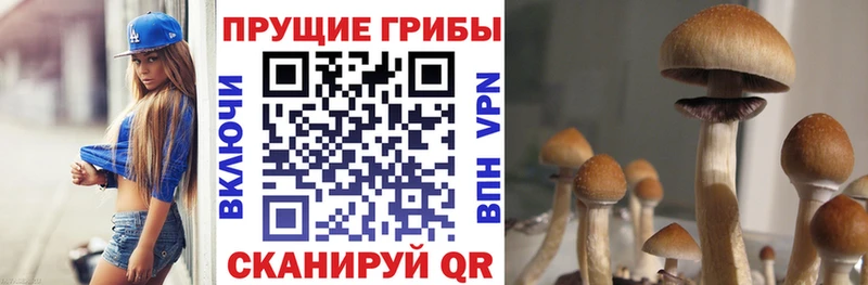 Псилоцибиновые грибы GOLDEN TEACHER  Павловская 