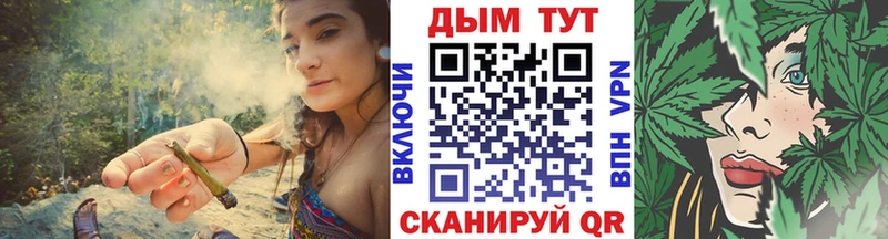 купить закладку  Павловская  Канабис план 
